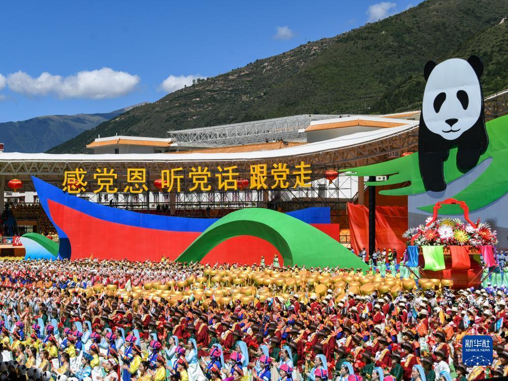 九五至尊注册